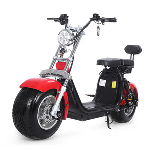 哈雷电动车电瓶车双人锂电池滑板车男女大轮胎踏板摩托车宽胎电摩