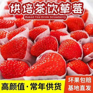 云南商用草莓新鲜现摘烘焙专用蛋糕甜品奶茶四季双流夏发批非水果