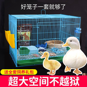 小鸭子网红柯尔鸭专用笼子睡觉窝小鸭子专用笼子养小鸡柯尔鸭装芦