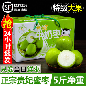 台湾牛奶枣大青枣贵妃蜜枣新鲜水果冬枣当季苹果枣子整箱礼盒送礼