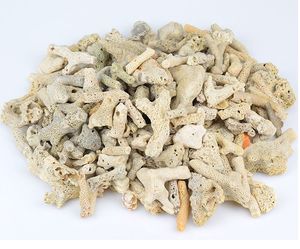 散装西沙珊瑚骨多孔优质免洗纯净水族鱼缸培菌珊瑚石过滤材料500g