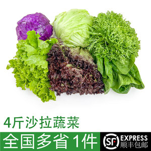 蔬菜沙拉组合4斤 新鲜混合蔬果色拉生吃食材健身轻食套餐生菜沙拉