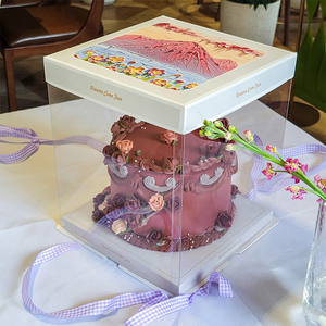 盒姐姐全透明蛋糕盒子4/6/8/10寸双层加高方形生日蛋糕包装盒透明