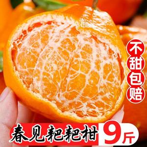 正宗四川春见耙耙柑橘子新鲜10斤时令水果当季丑桔粑粑柑蜜橘顺