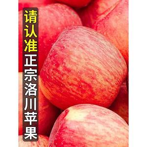洛川苹果红富士水果新鲜当季整箱10斤延安特产一级应季萍果包邮