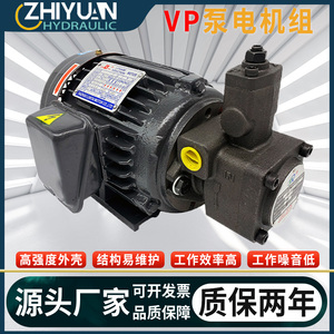 液压油泵电机组VP20-30+0.75-1.5KW液压泵总成卧式电机液压站系统