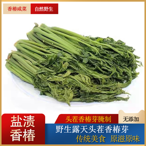 香椿芽咸菜山东特产新鲜腌制香椿头茬红香椿芽盐渍下饭菜酱菜