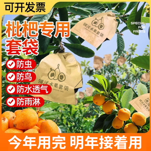 枇杷套袋专用袋水果果实套袋神器防虫防鸟桃子苹果梨袋子柠檬芒果