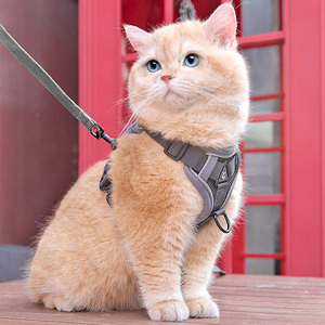 猫咪牵引绳防挣脱外出专用溜猫绳宠物背带链子可调节网红遛猫神器