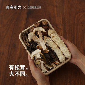 元气菌汤包云南菌菇汤料包松茸白牛肝羊肚菌品质野生菌煲汤干货