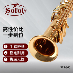 赛菲高音萨克斯SAS-865管乐器初学者入门成人降B调专业演奏级