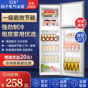 扬子电气小冰箱家用小型双门冷冻冷藏迷你宿舍出租房二人一级节能