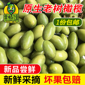 1斤包邮新鲜生橄榄青果中国优质青橄榄基地现摘现发孕妇水果