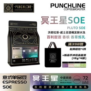 PUNCHLINE 洪都拉斯冥王星意式咖啡豆香草百利甜酒精品咖啡250g