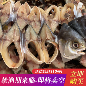 广东阳江特产金鲳咸鱼干金昌鱼干海鲜鱼干货黄特昌金仓鱼