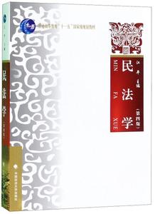 二手正版民法学第四版 江平 中国政法大学出版社 9787562089971