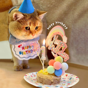 猫咪生日装扮宠物口水巾围兜小狗狗过生日蛋糕围脖装饰品围嘴帽子