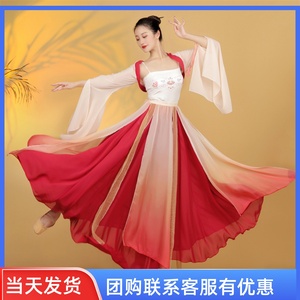 现代古典中国舞蹈演出服装女渐变色飘逸大摆裙成人练功服纱衣长裙