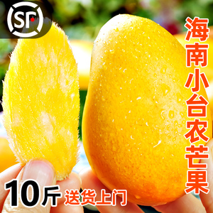海南小台农芒果10斤新鲜现摘小台芒应当季热带水果特产芒果包邮5