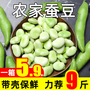 云南胡豆新鲜现摘带壳蚕豆当季农家蔬菜毛豆青罗汉豆兰花佛南豆9