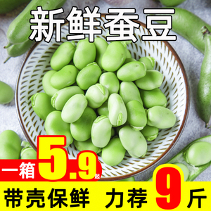 新鲜带壳嫩蚕豆5斤9现摘生胡豆夹青罗汉豆兰花豆蔬菜新鲜农家自种