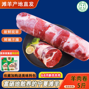 宁羊一号 宁夏滩羊肉棒 新鲜羊肉卷清真生羊肉冷冻涮羊肉火锅5斤