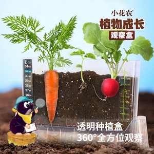 小学生儿童幼儿园植物种植盆栽生长科学观察日记笔记水培种子发芽