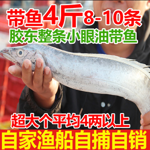 新鲜海捕大带鱼4斤黄渤海捕带鱼刀鱼冷冻整条水产8-10条山东