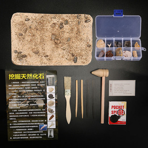 古生物化石考古挖掘玩具天然矿石原石水晶石学生科普教学标本礼物