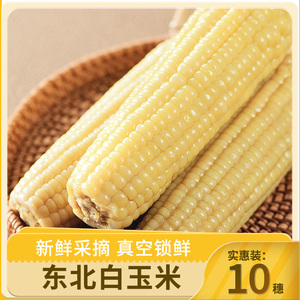 2023年头茬鲜食玉米10根真空东北新鲜甜糯玉米粗粮苞米