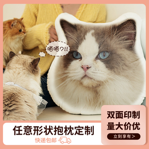 diy照片抱枕异形定做宠物狗狗猫咪动漫公仔仿真毕设靠枕 来图定制