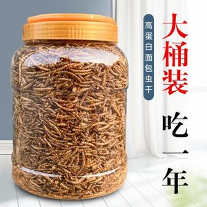 麦麸面包虫小壁虎吃的食物宠物龙鱼活虫饲料黄粉虫苗画眉鸟提性虫