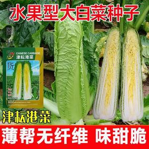 津耘港菜青麻叶大白菜种子秋季绍菜薄帮甜脆黄心水果型白菜种籽孑