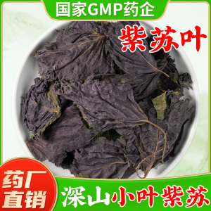 野生紫苏叶中药材旗舰店正品 小叶紫苏叶干泡脚煮水喝紫苏茶