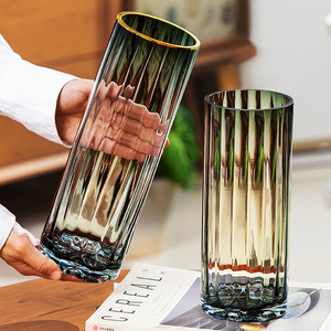 花瓶玻璃透明水养插花水培植物富贵竹轻奢高级感创意客厅养花摆件
