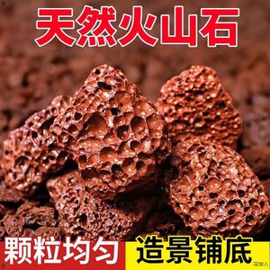 火山石颗粒鱼缸底砂造景铺底滤材乌龟专用大块火山岩花盆铺面石