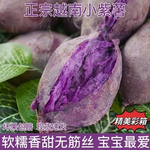正宗越南珍珠小紫薯2024新鲜紫薯紫心红番薯粉糯香甜孕妇老人宝宝