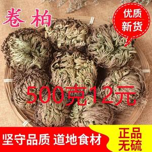 九死还魂草九死还魂草卷柏不死草还阳草可盆栽遇水活新货500g包邮