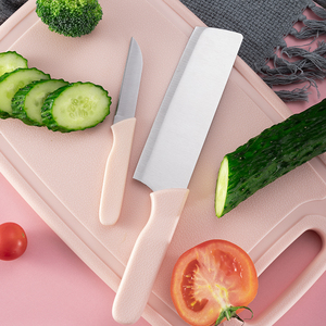 便携可收纳塑料切菜板家用多功能砧板带刀具厨房菜板刀三合一套装