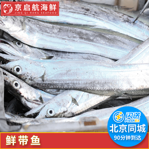 1-3斤/条  北京闪送 冰鲜舟山带鱼 绝非冷冻 纯鲜新鲜海鲜 黑眼睛