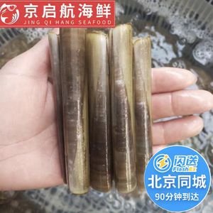 10-15只1斤 鲜活竹节蛏海鲜 新鲜竹蛏手指蛏竹蛏大蛏子水产