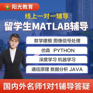 留学生matlab编程数学字建模图像信号处理仿真python深度学习java