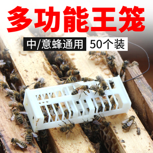 蜂王囚王笼中蜂困王控王扣王关王介王笼蜜蜂收王隔王工具养蜂用品