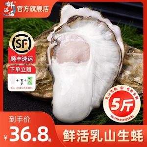 乳山生蚝鲜活特大牡蛎新鲜海鲜海蛎生耗商用山东超大生蚝2单10斤
