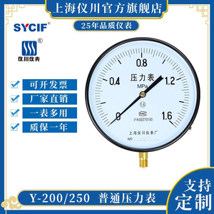 上海仪川超大表盘压力表Y250普通压力表气压液压通用表盘25公分