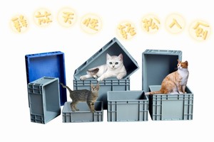 重庆加大加厚加高猫砂盆乌龟箱养殖箱种植箱橘猫缅因猫猫咖家庭装
