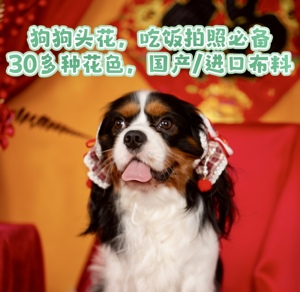 【包邮】狗狗发圈耳套头花 拍照 可卡犬 查理王马尔济斯史宾格