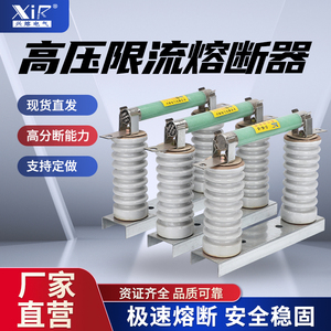 高分段能力高压限流熔断器XRNP1-12KV 0.5A/10A带底座 保护险熔管