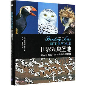 正版图书 世界观鸟圣地：动人心魄的100处鸟类生活秘境 [英]多米