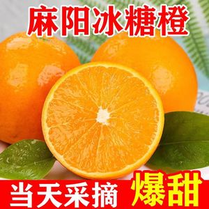 【爆甜】正宗麻阳冰糖橙净重5/9斤橙子新鲜水果现摘现发整箱包邮